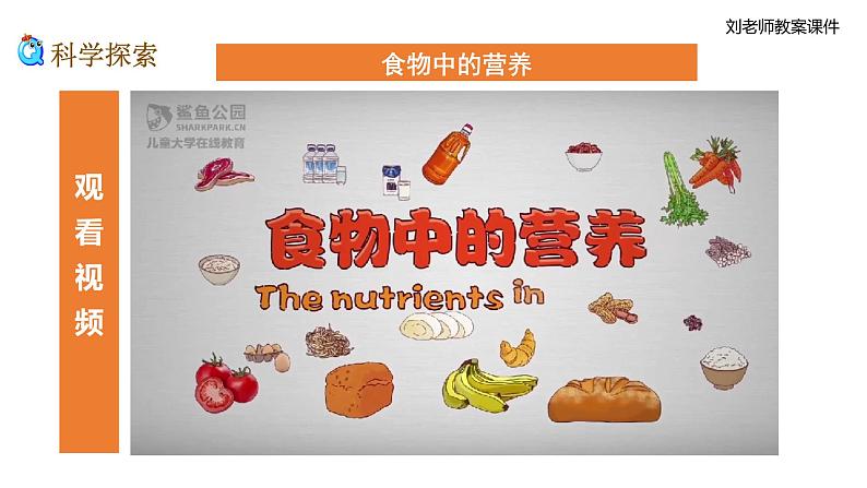 新教科版科学四年级上册2.5《食物中的营养》教案+课件+视频04