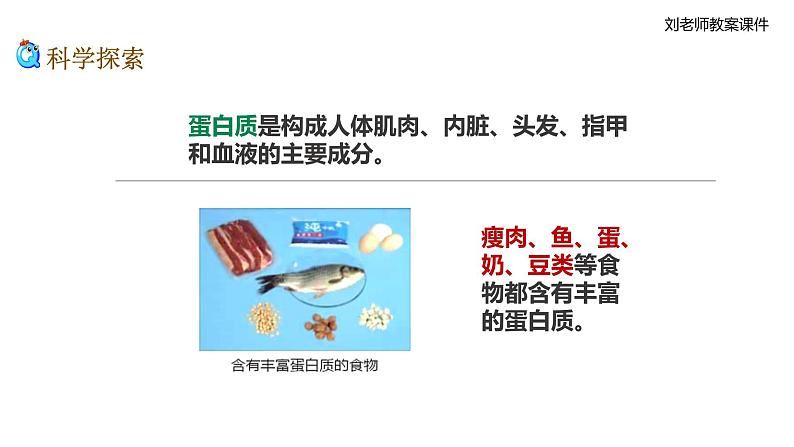 新教科版科学四年级上册2.5《食物中的营养》教案+课件+视频05