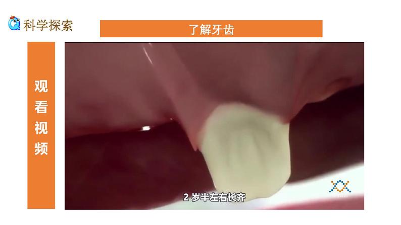 2.7《食物在口腔里的变化》课件第7页