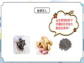 1.1《種子發(fā)芽實(shí)驗(yàn)》課件PPT+教案