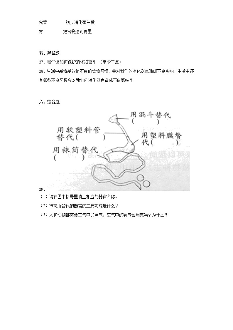 大象版四年级科学上册第五单元过关测试题人体的消化器官（一）含答案第3页