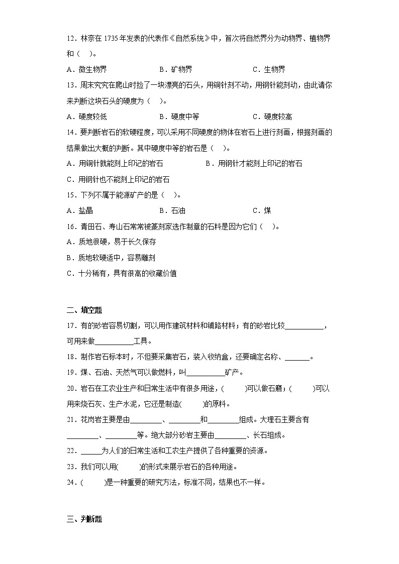 大象版四年级科学上册第二单元过关测试题岩石与矿产（二）含答案第2页