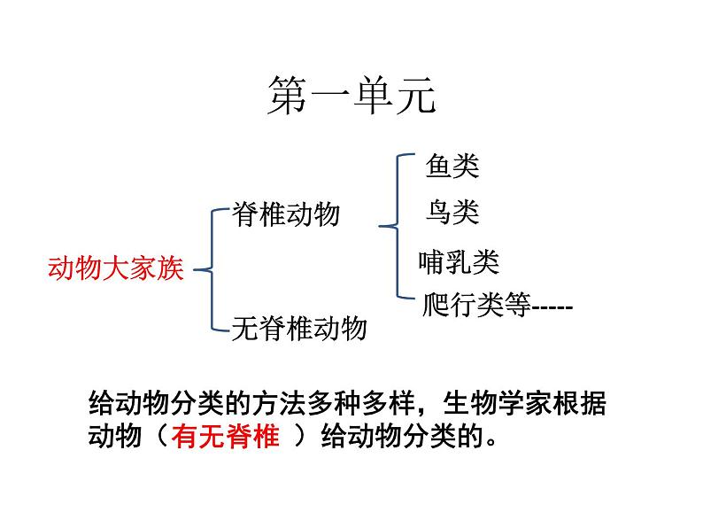 苏教版小学科学四年级上册一单元《动物大家族》复习课件01