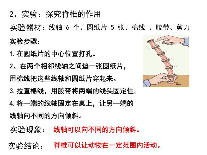 苏教版小学科学四年级上册一单元《动物大家族》复习课件04