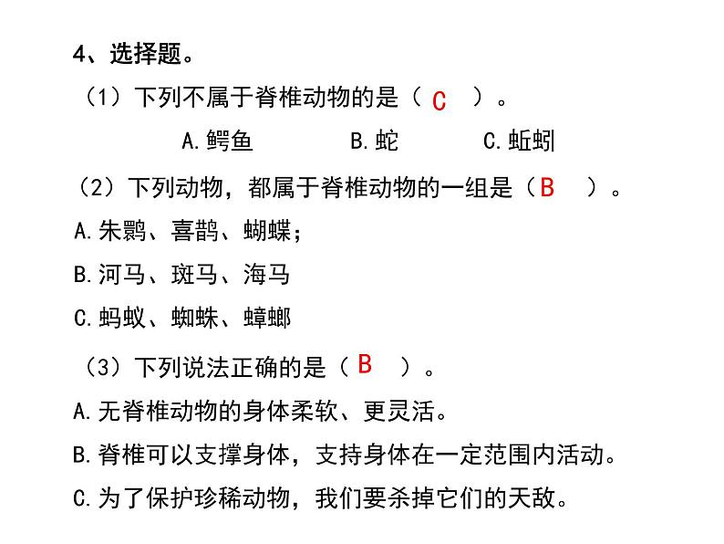 苏教版小学科学四年级上册一单元《动物大家族》复习课件06