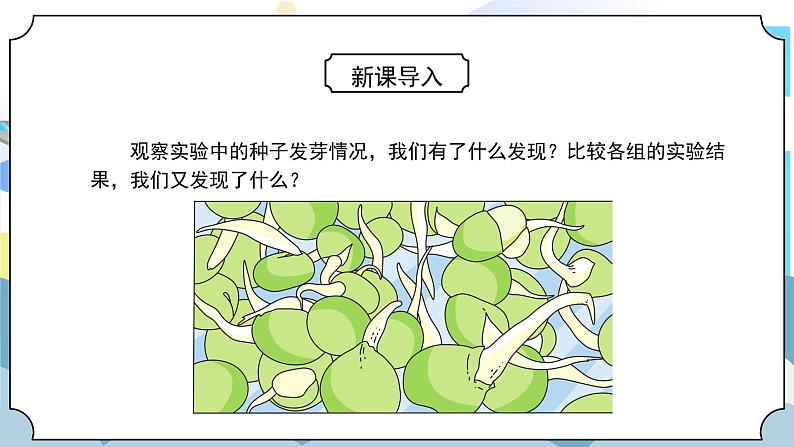 1.2《比较种子发芽实验》课件PPT+教案03