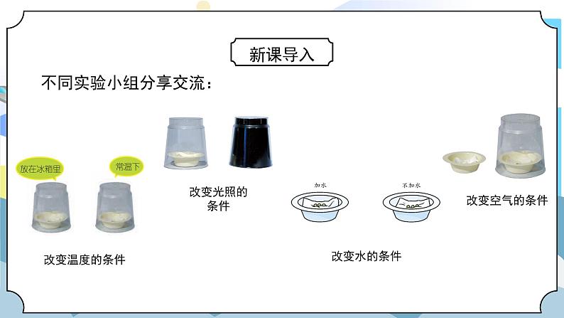 1.2《比较种子发芽实验》课件PPT+教案05
