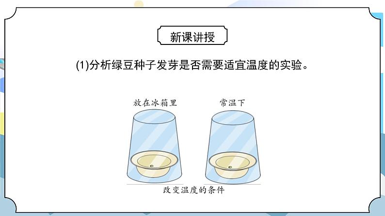 1.2《比较种子发芽实验》课件PPT+教案08