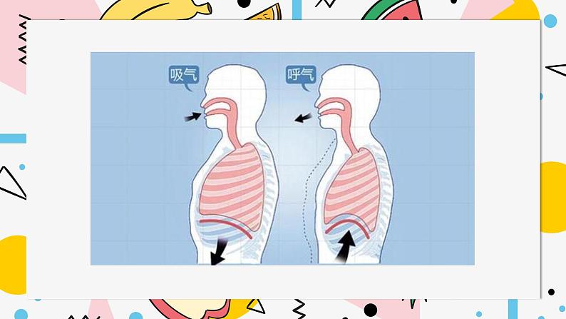 四上2.4《一天的食物》课件第1页