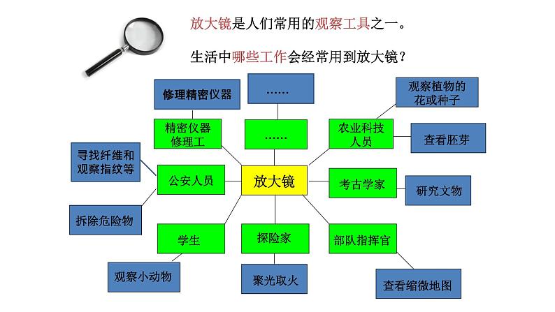 六上1.1放大镜课件第3页