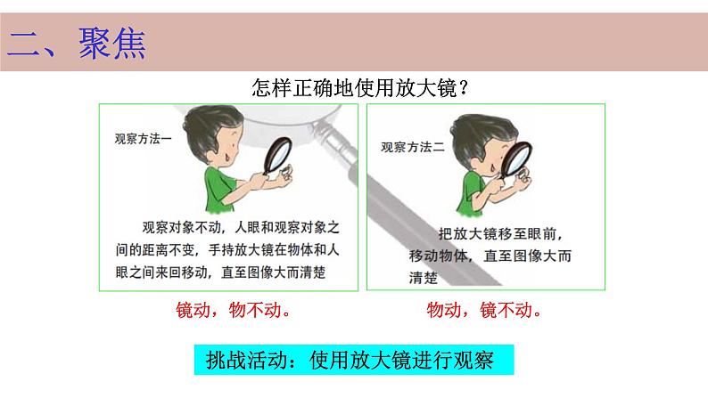 六上1.1放大镜课件第4页