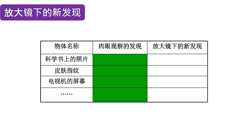 六上1.1放大镜课件第5页