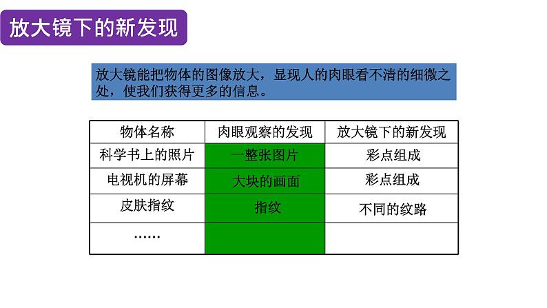 六上1.1放大镜课件第6页