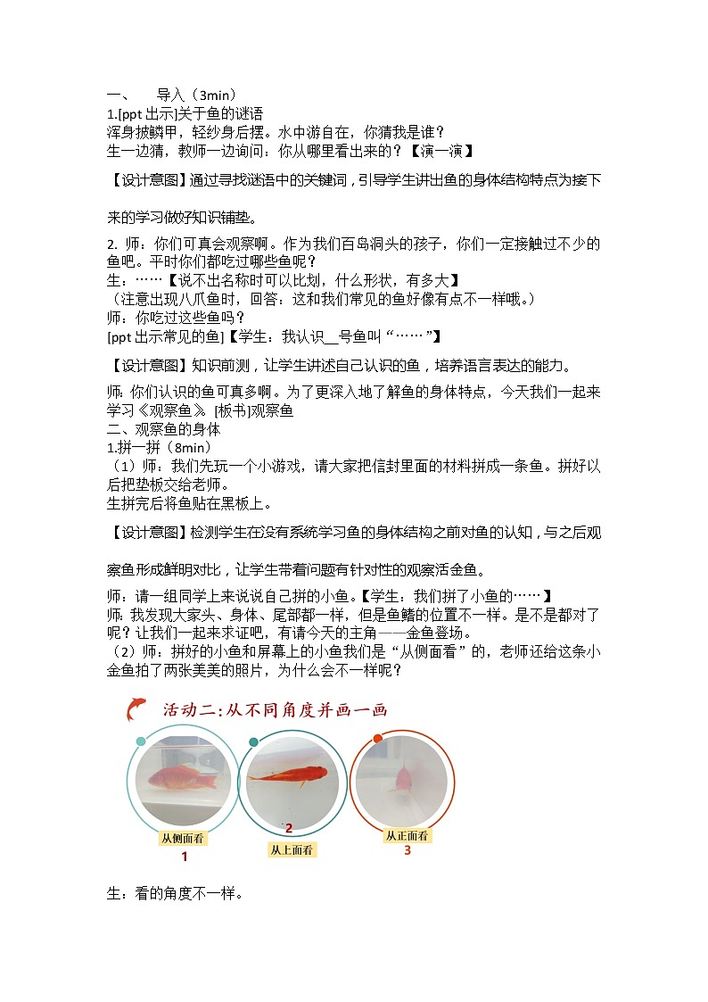 一下 2.5 观察鱼 教学设计第2页