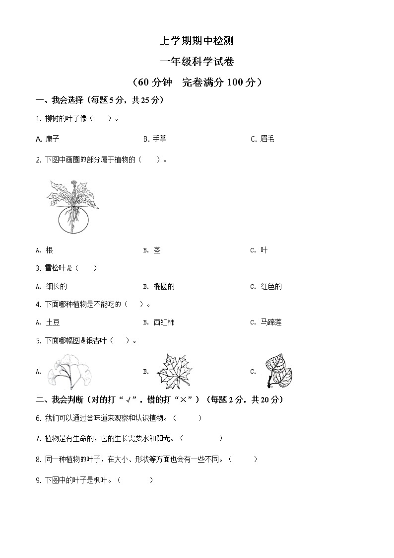 科学一年级上学期期中试题3（教科版，含答案）01