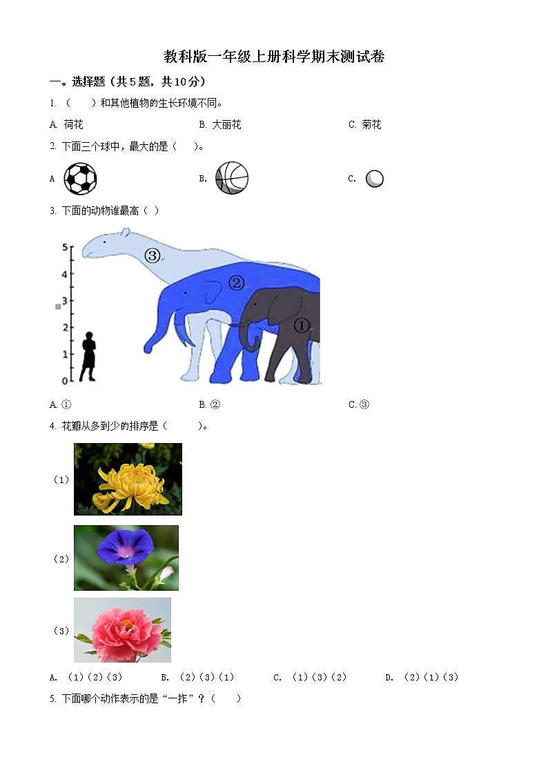 精品解析：教科版一年级上册期末考试科学试卷2（原卷版）第1页