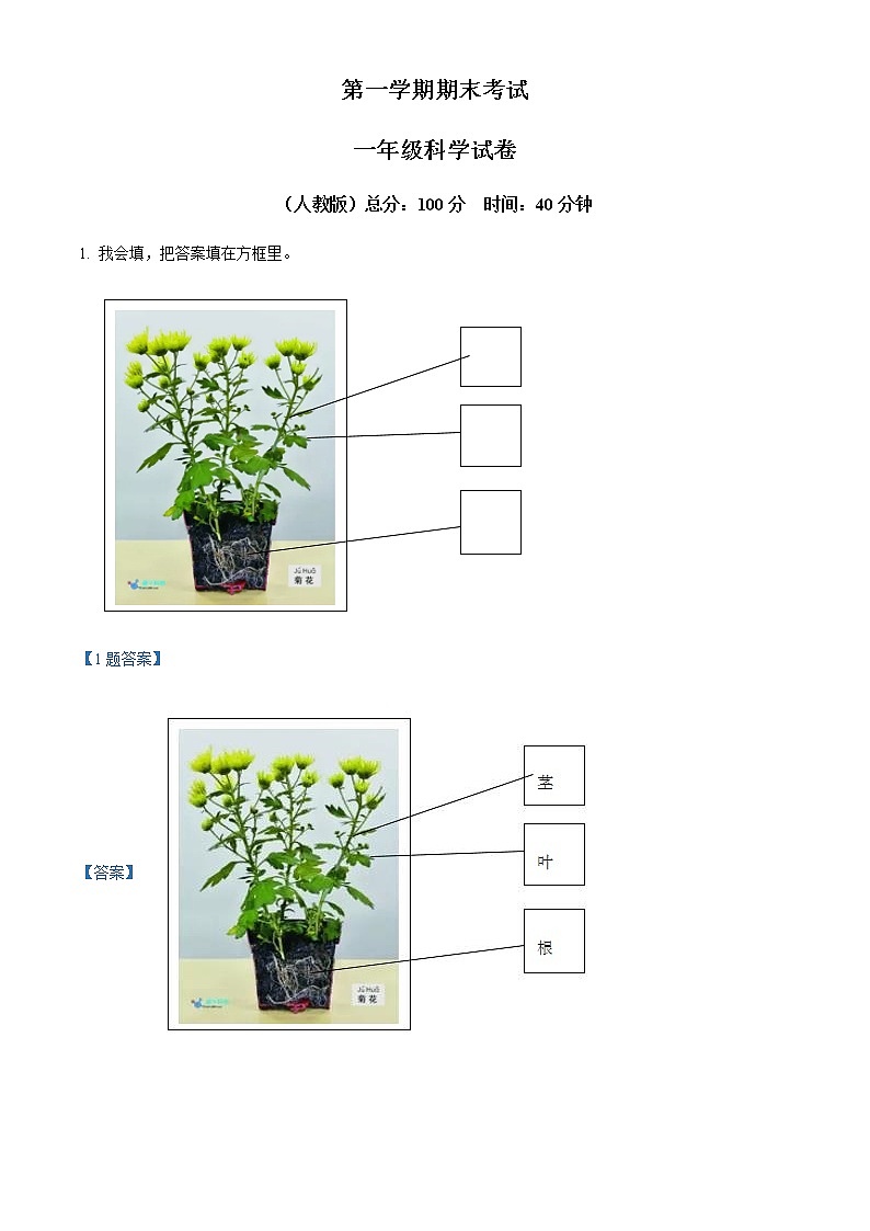 精品解析：教科版一年级上册期末考试科学试卷（解析版）第1页