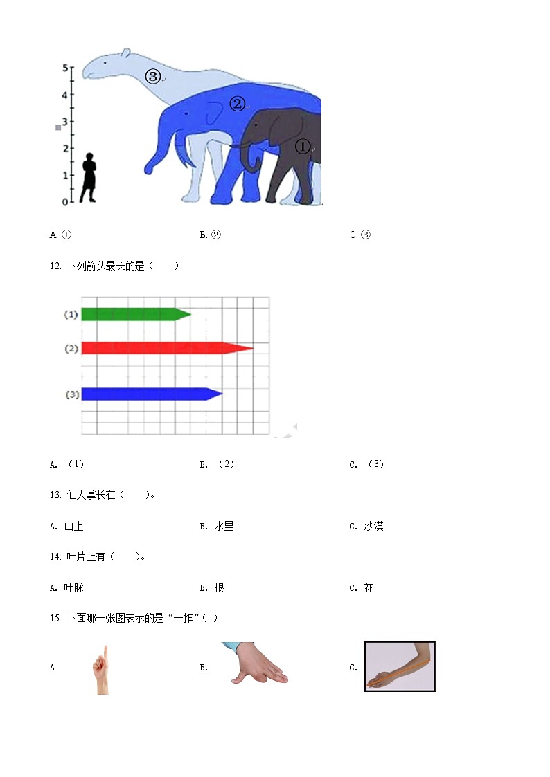 精品解析：科版一年级上册期末考试科学试卷（原卷版）第3页