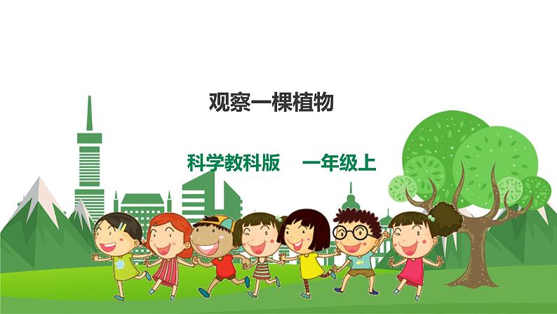 教科版小学科学一上 1.2《观察一棵植物》课件（PPT）+教案+练习+素材01