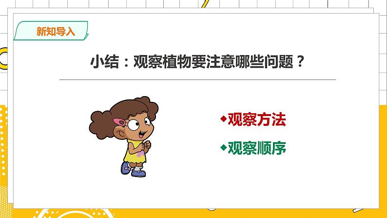 教科版小学科学一上 1.2《观察一棵植物》课件（PPT）+教案+练习+素材08