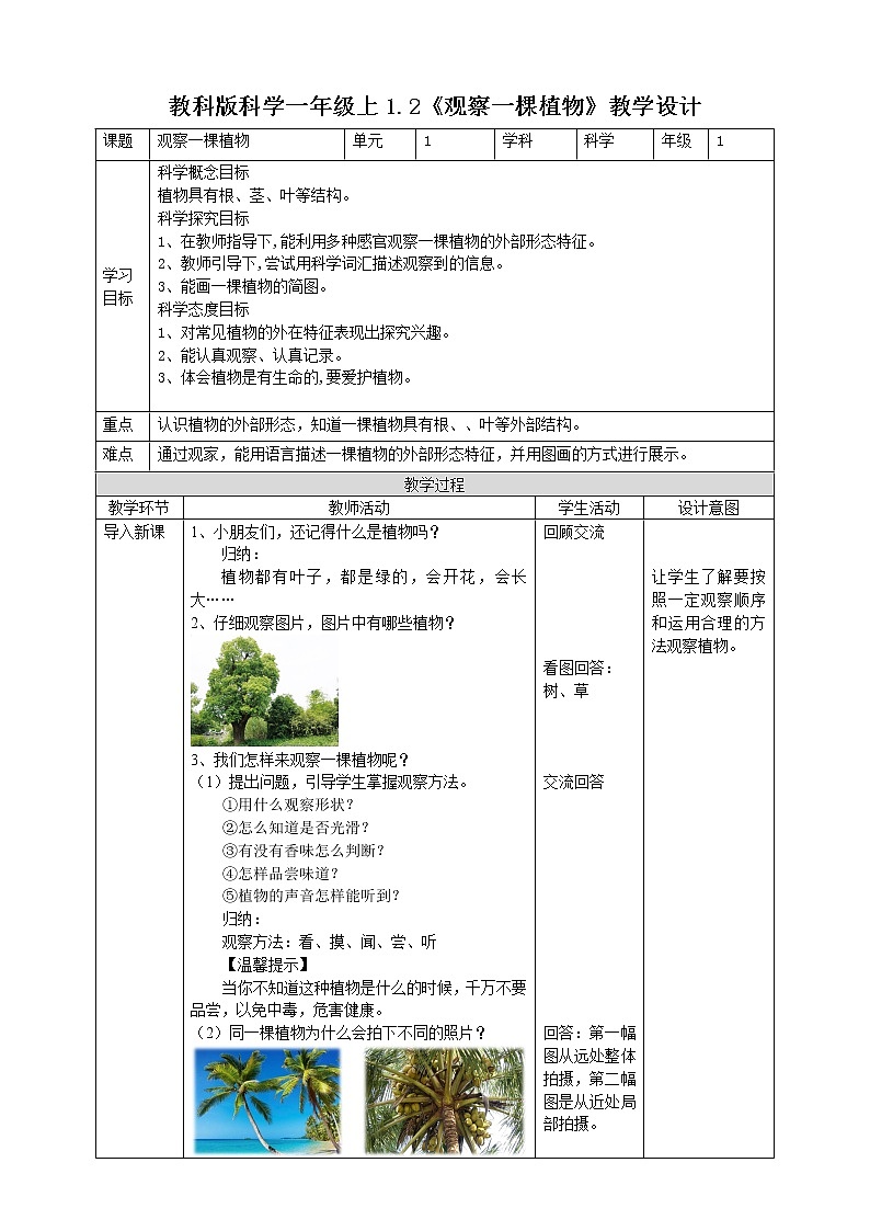 1.2《观察一棵植物》教案第1页
