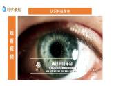 新教科版科学四年级上册3.8《设计制作小车（二）》课件+教案+习题+素材+视频