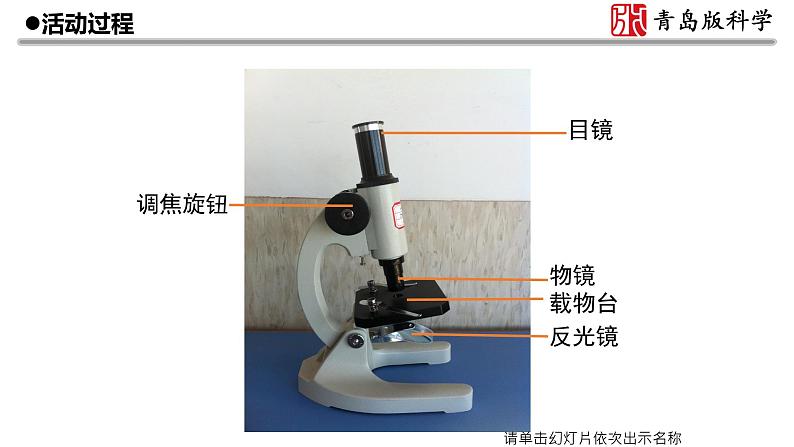 1.《细胞》教学课件06