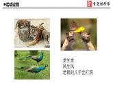 2.《像与不像》教学课件