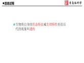 2.《像与不像》教学课件