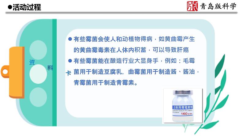 6.《发霉与防霉》教学课件08