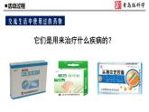22.《安全用药》教学课件