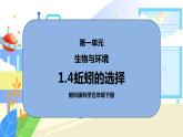 1.4《蚯蚓的选择》课件PPT+教案
