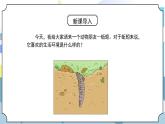 1.4《蚯蚓的选择》课件PPT+教案