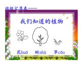 一上1.1我们知道的植物课件