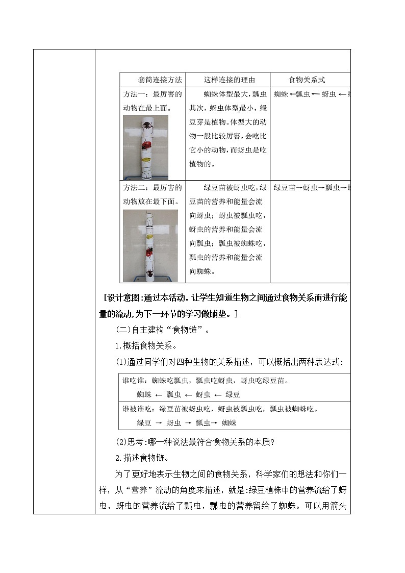 1.6《食物链和食物网》课件PPT+教案03