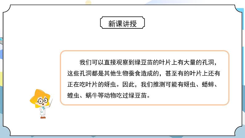 1.6《食物链和食物网》课件PPT+教案08