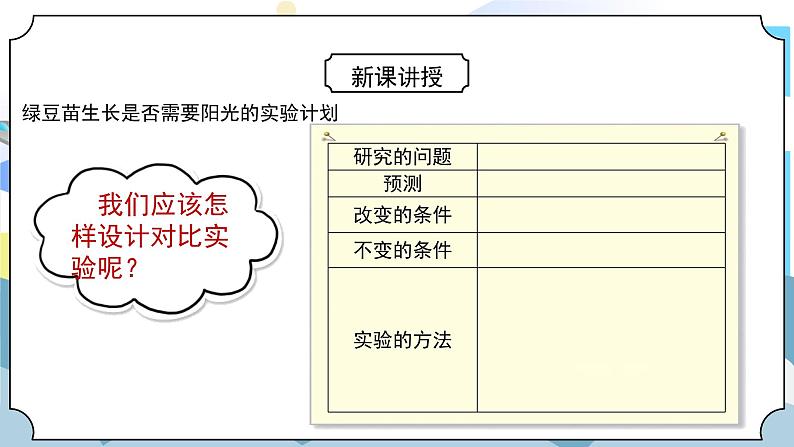 1.3《绿豆苗的生长》课件PPT+教案05