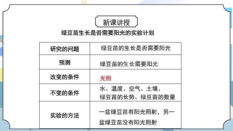 1.3《绿豆苗的生长》课件PPT+教案06