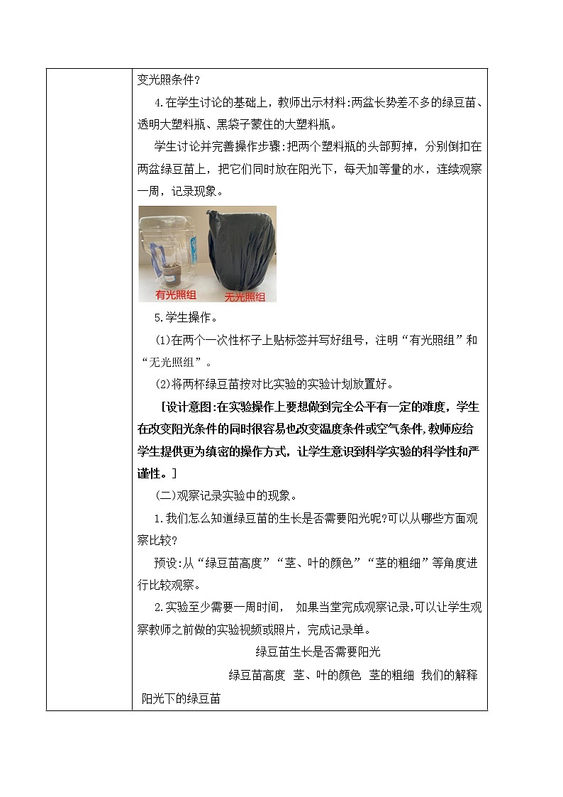 1.3《绿豆苗的生长》课件PPT+教案03