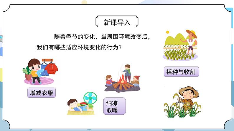 1.5《当环境改变了》课件PPT+教案04