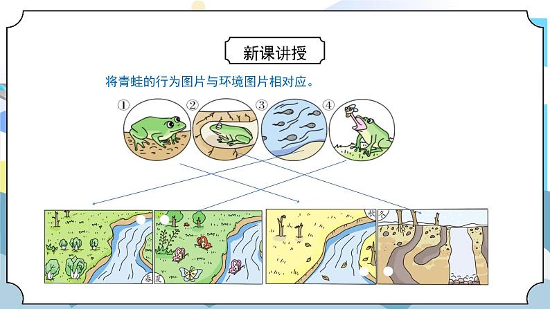 1.5《当环境改变了》课件PPT+教案07