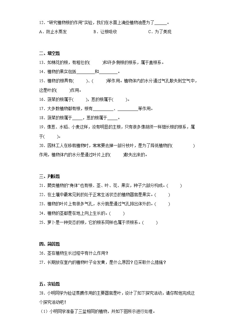 青岛版三年级科学上册第二单元综合测试卷植物的生活（一）含答案第2页