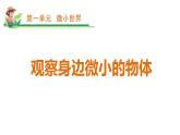 六下第一单元《观察身边微小的物体》课件