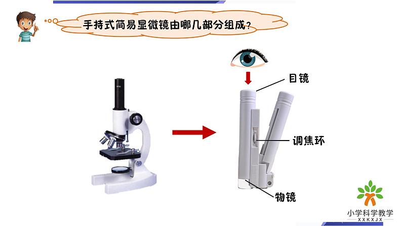 六下第一单元《观察身边微小的物体》课件02