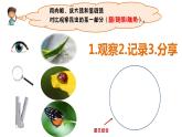 六下第一单元《观察身边微小的物体》课件