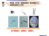 六下第一单元《观察身边微小的物体》课件