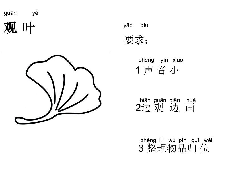 一上1.3.观察叶课件05