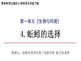 小学科学 五年级下《蚯蚓的选择》 课件