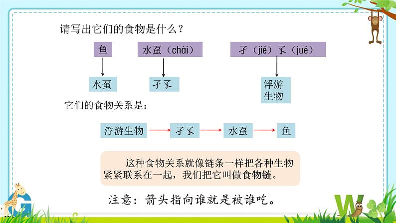 3  走进池塘第4页