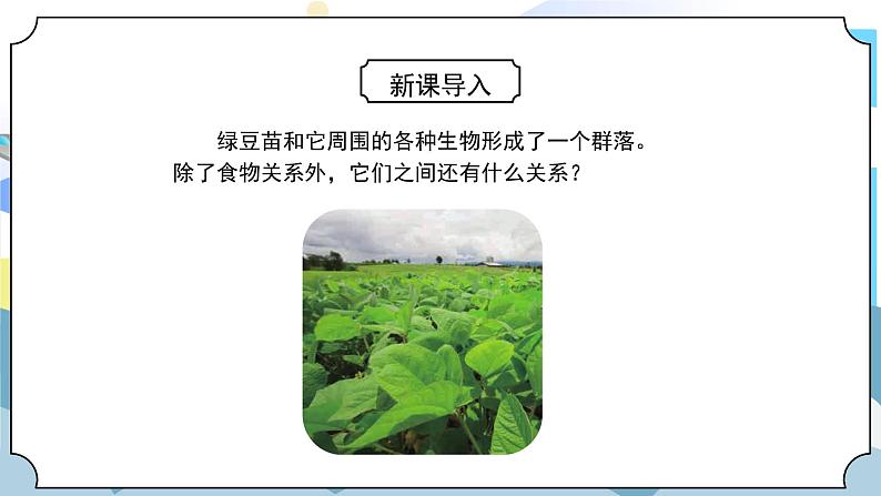1.7《设计和制作生态瓶》课件PPT第3页